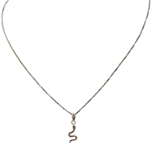 Cadena de plata con dije de serpiente