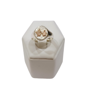 Anillo pre escolar plata y oro