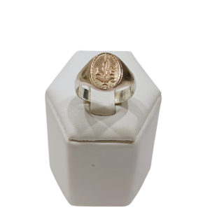 Anillo Licenciada en Enfermería (Nurse) plata y oro