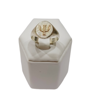 Anillo Psicología plata y oro