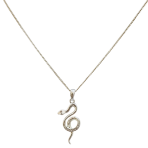 Cadena de plata con dije de Serpiente