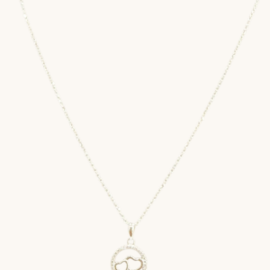 Cadena de plata con doble corazon